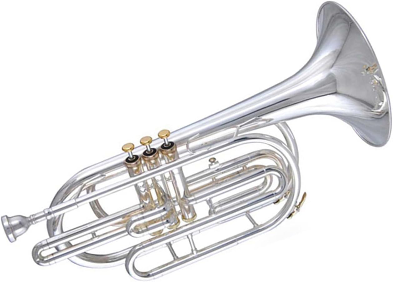 Adult Trombone Instrument Trombone Upright Key 3rd B Flat Gold Or Silver