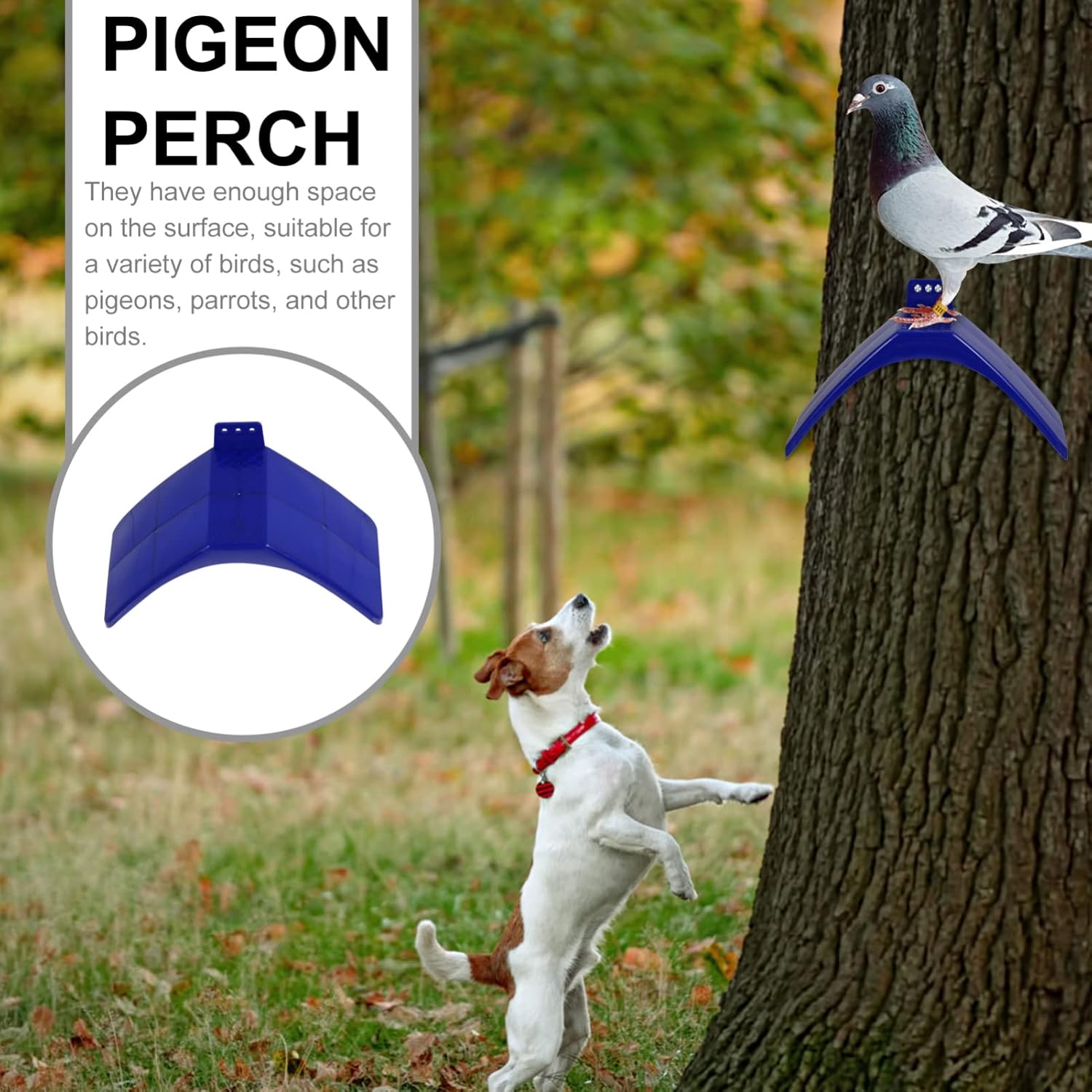 iplusmile 30 Pcs Dove Rest Stand, Lightweight Pigeon Perch Pigeons Rest Stand Frame Birds Roost Holder Dwelling Birdcage Accessories for Parrots and Other Birds