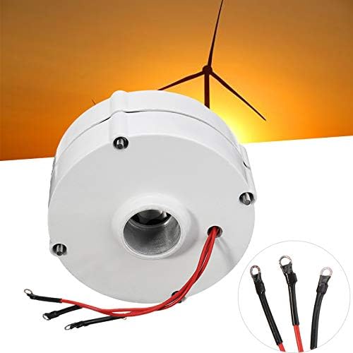 Wind Turbine, Wind Turbine Generator Motor 6000W 12V 24V 3 Phase Gearless Permanent Magnet AC Alternator for Wind Water Turbine Diesel Engine(24V)