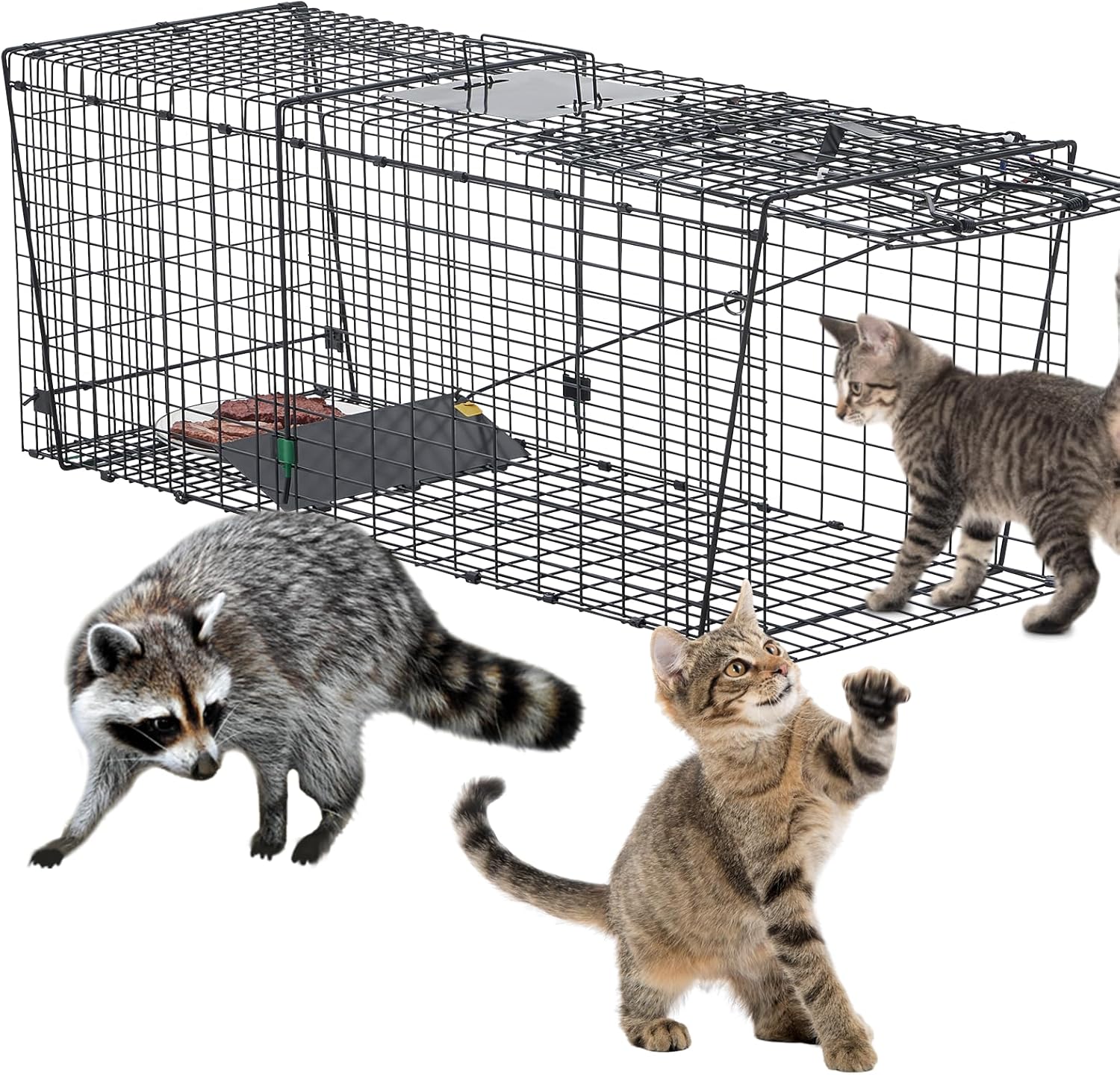 Large 37 Inch Raccoon Trap,Humane Live Animals Trap 2-Doors,Catch and Release Raccoons, Stray Cats, Skunk, Mole, Groundhog, Armadillo.