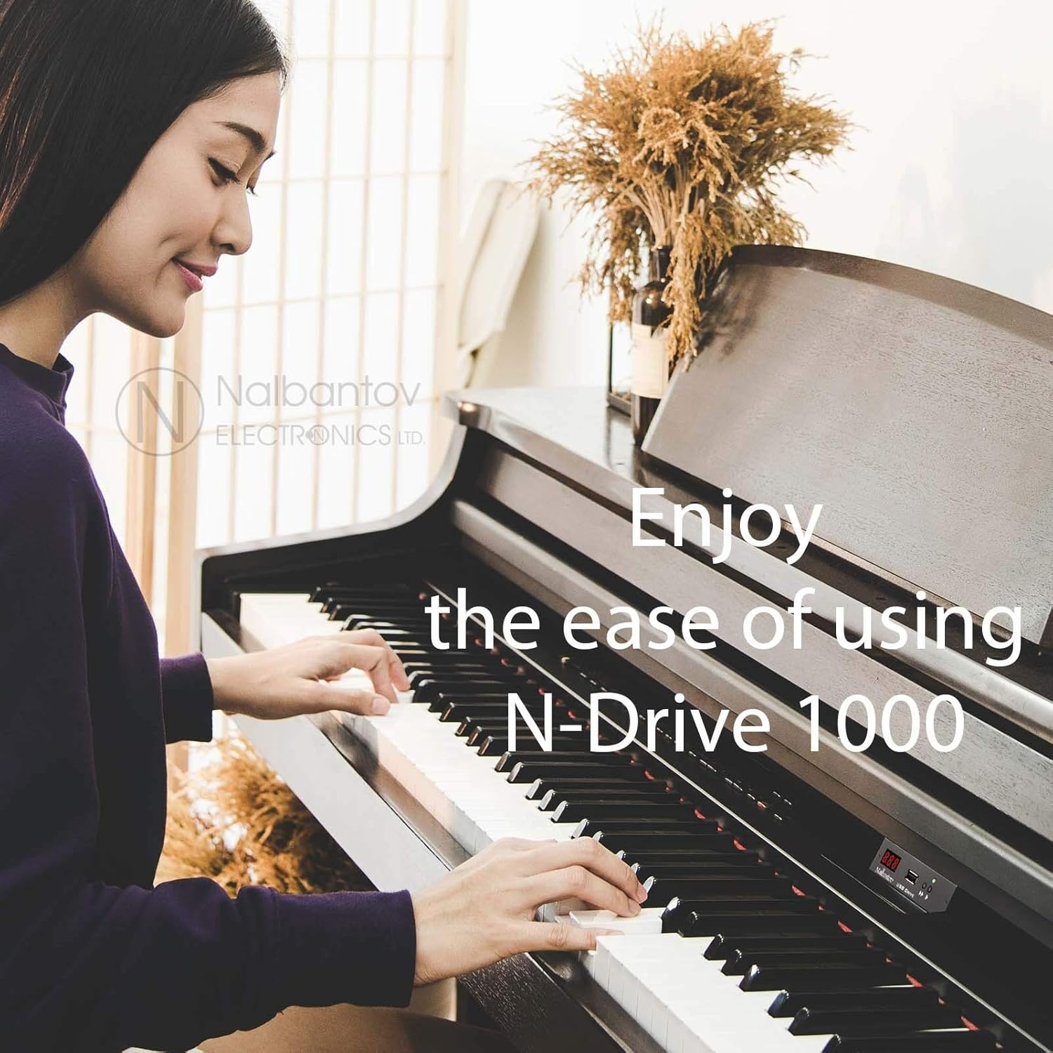 Floppy Disk USB Emulator Nalbantov N-Drive 1000 for Ketron Solton XD Series - XD3/8/9