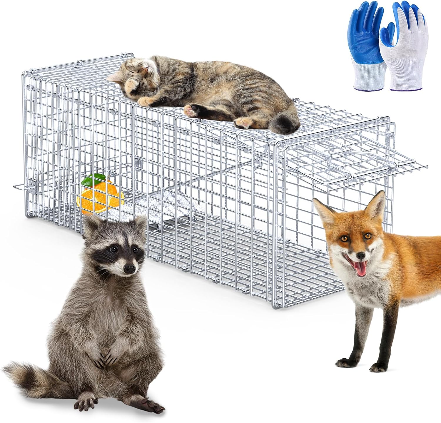 Humane Animal Trap, 37