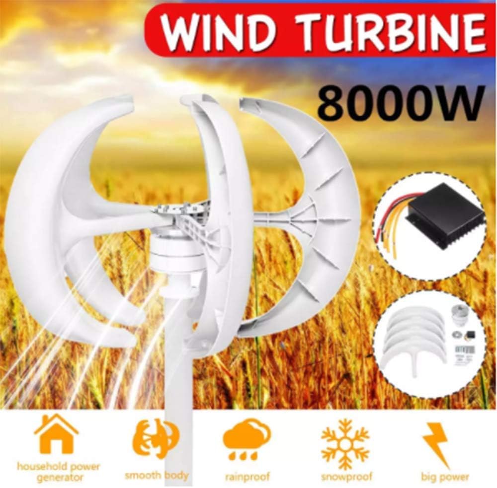 8000W 12V 24V 5 Blades Vertical Axis Wind Turbines Generator Lantern Motor Kit for Home Hybrids Streetlight Use Electromagnetic,24v