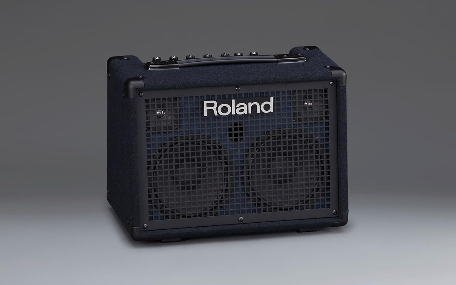 Roland KC-220 Battery-Powered Stereo Keyboard Amplifier Bundle with Gearlux Instrument Cable and Austin Bazaar Polishing Cloth