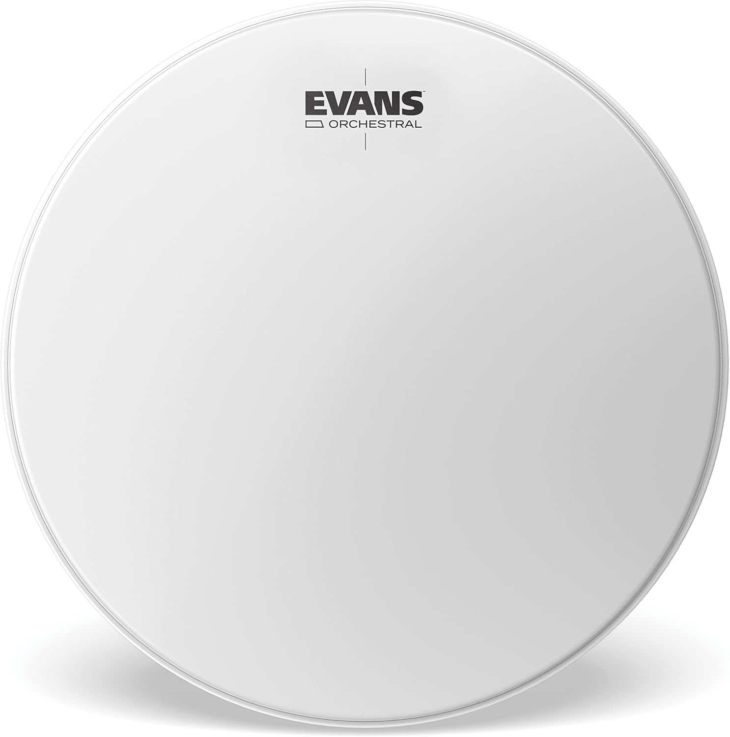 Evans Timpani Head (ET34)
