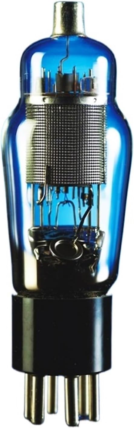 WE310A Vacuum Tube Precision Matching Amplifier(2 pcs)