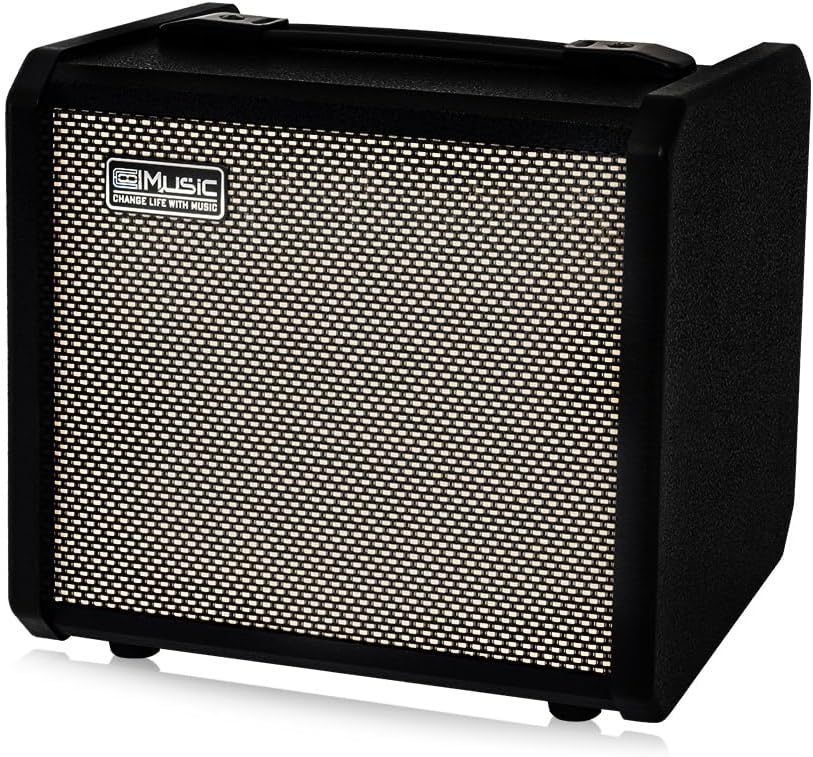TS20 Bass Combo Amp -20W Suitable for Bass Guitar