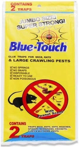Blue Touch 32216 PE Large Glue Mouse Trap, Case of 144-2 per Pack