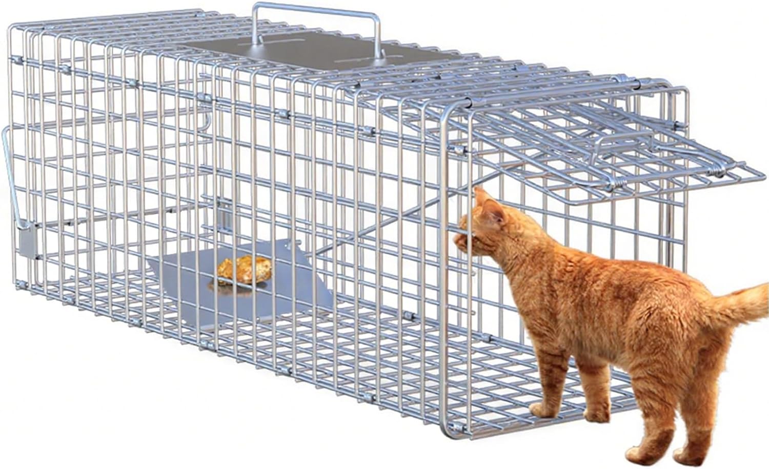 Live Animal Cage Trap Racoon, Foldable Galvanized Iron Cat Trap for Stray Cats Humane Kittens for Raccoons, Feral Cats, Squirrels, Groundhog(79 * 28 * 33cm)