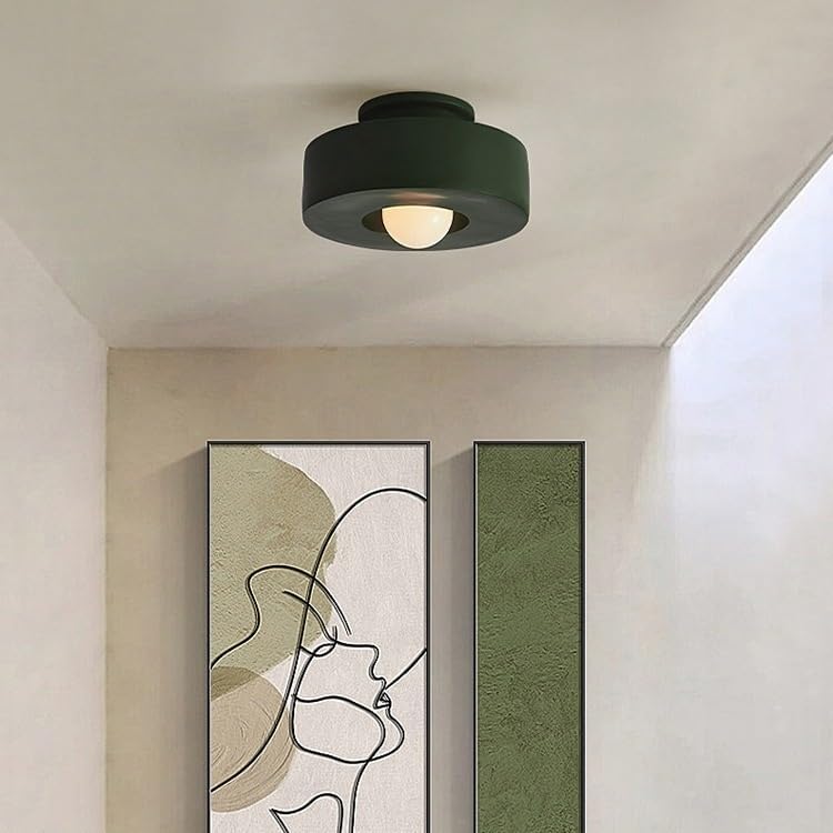 Modern Simple Close To Ceiling Light Fixtures, Industrial Creative E27 Cloakroom Ceiling Lights Fixture, Japanese Style Resin Ceiling Lamp for Entrance Hallway Studio Restaurant Hotel Porch(Green)