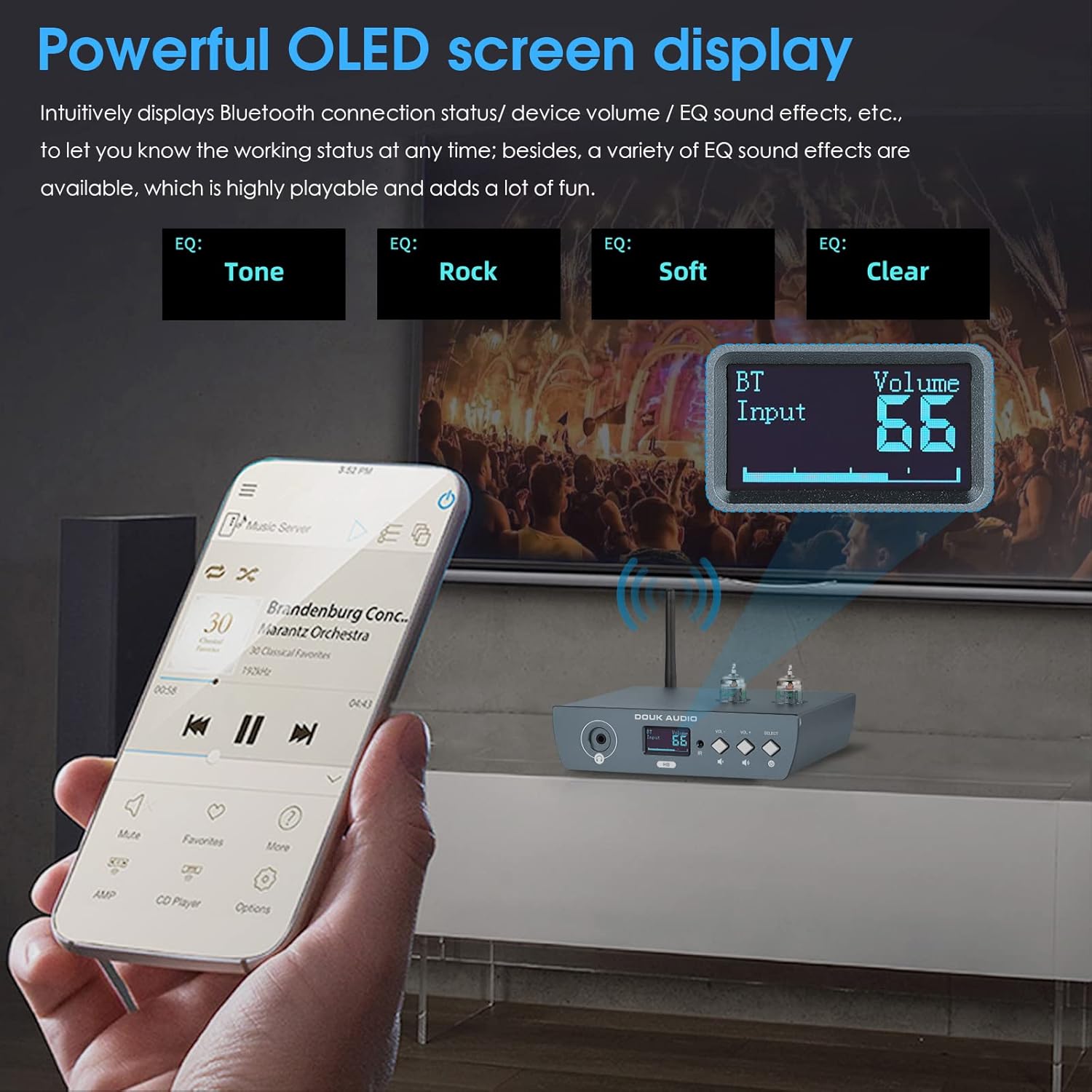 Douk Audio HiFi Tube Bluetooth Preamp Receiver Balanced XLR/RCA Pre-Amplifier Headphone Amp (H8)