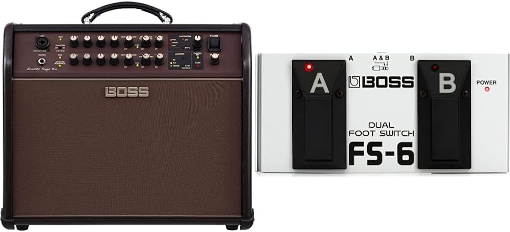 Boss Acoustic Singer Pro 120-Watt Bi-Amp Acoustic Combo with FX and Boss FS-6 Dual Foot Switch