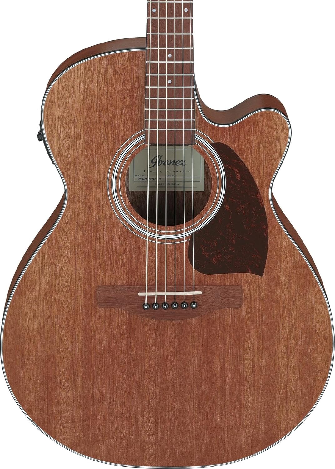 Ibanez PC54CE Acoustic-electric Guitar - Natural