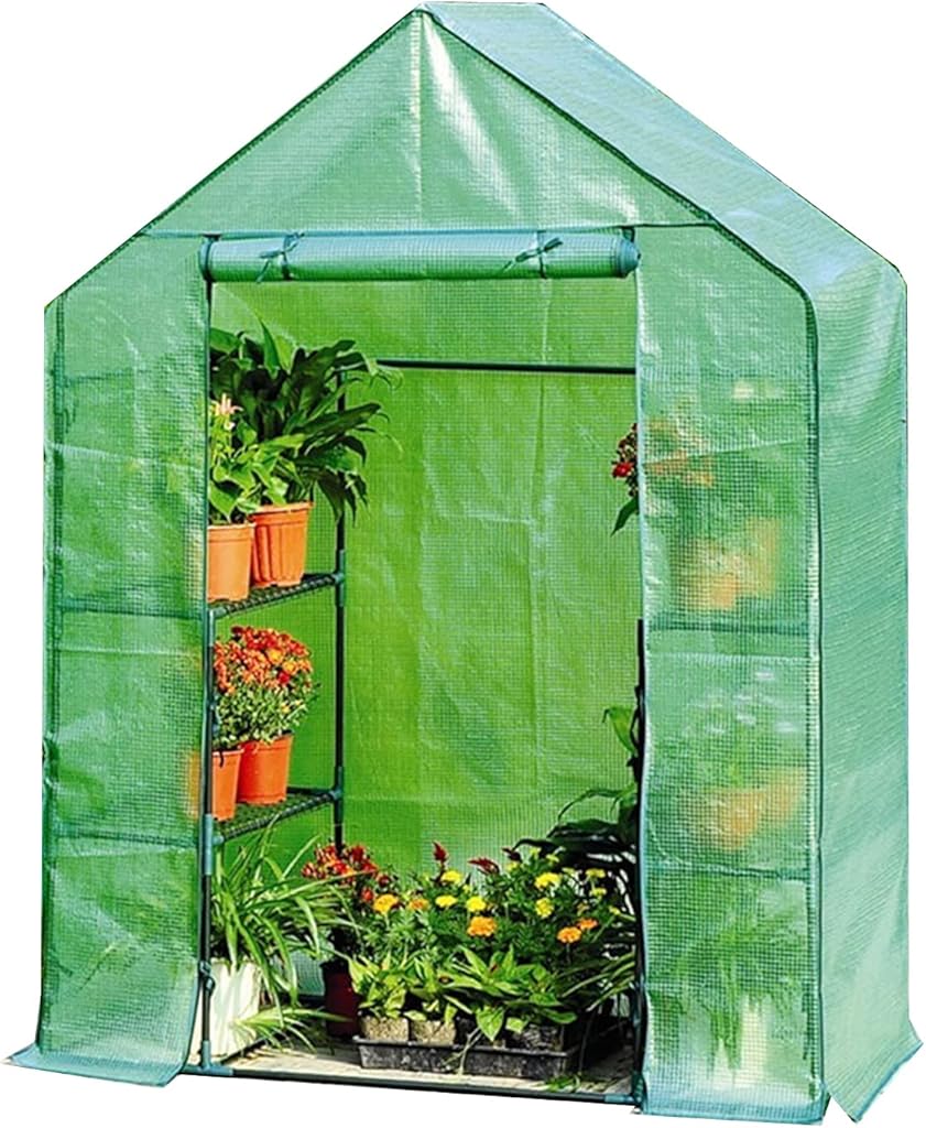 AAGAZA Walk-in Greenhouse, Garden House Succulent Plants Flowers Green Plant Insulation /684 (Color : Green, Size : 143 x 73 x 195CM)