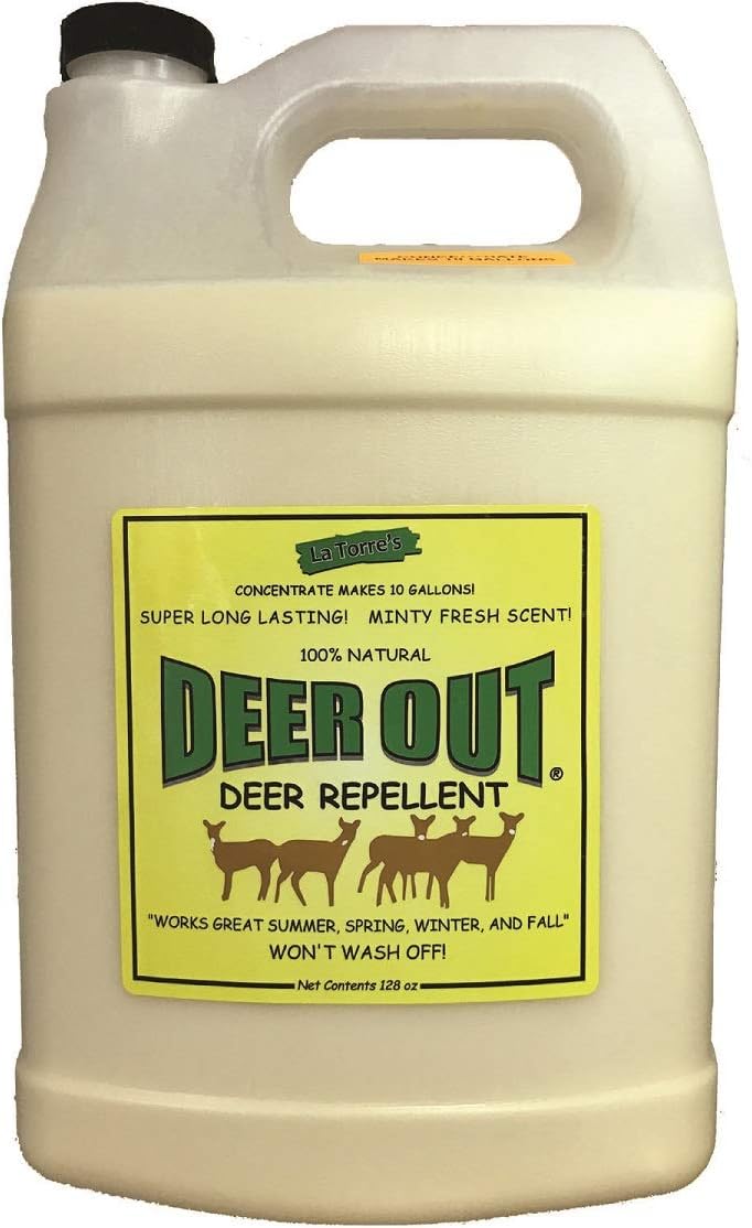 Deer Repellent :Deer Out 1 Gallon Concentrate