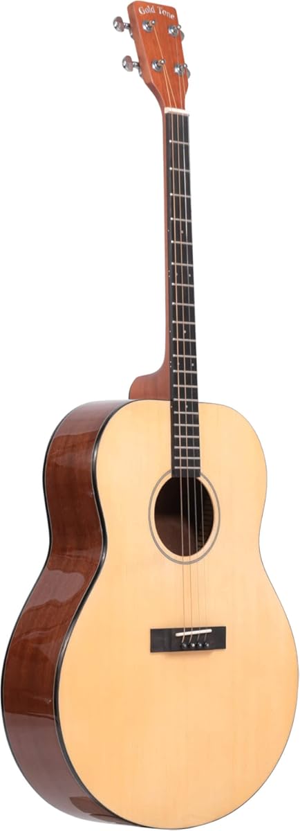 Gold Tone TG-10 Tenor Guitar (Four String, Natural)