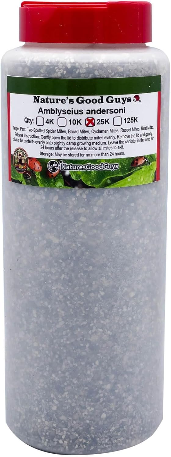 25,000 Predatory Mites Amblyseius andersoni Bottle