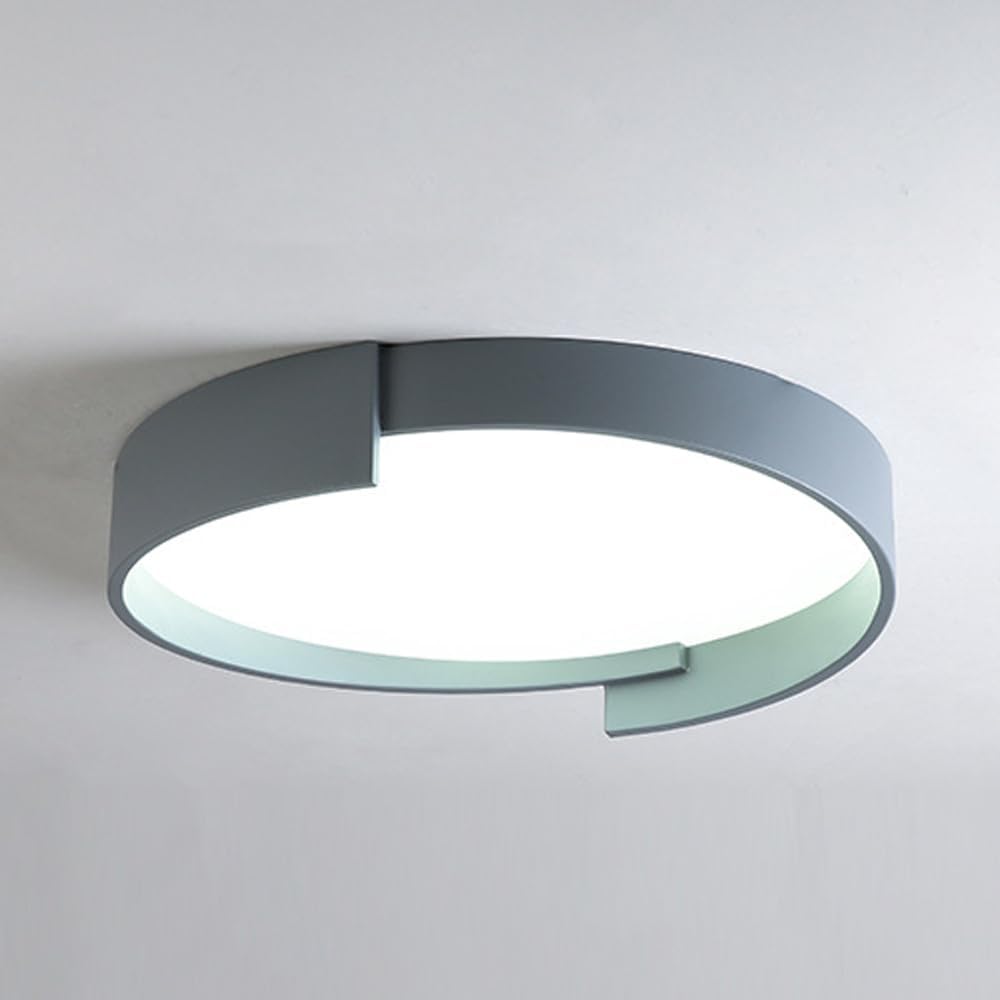 Led Round Ceiling Lamp Nordic Personality Master Bedroom Flat Ceiling Lighting 6000K Cold White Saving Ceiling Light Modernaron Warm Room Restaurant Lighting Fixture for Living Room/D(Natural)