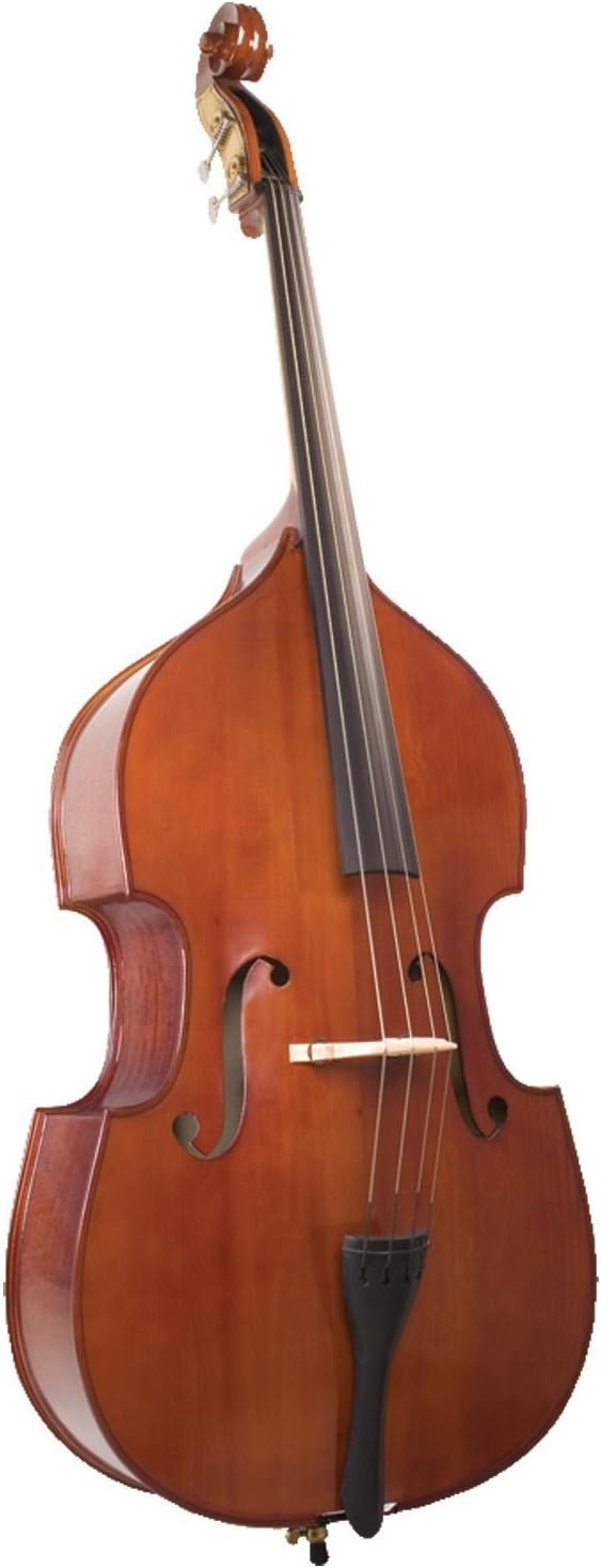Palatino 4 String Acoustic Upright Bass, Right (VB-029-3/4)