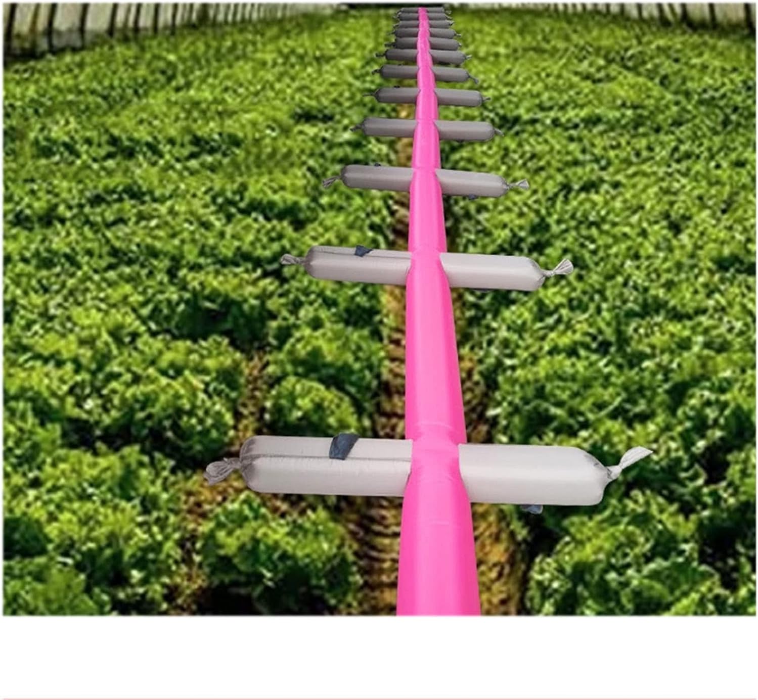 Pool Above Ground Garden Irrigation Water Hose, Easy to Inject Water Double Sided Fountain Tear Resistance Thickening Oxford Customizable Length and Color (Color : Pink, Size : 60m)