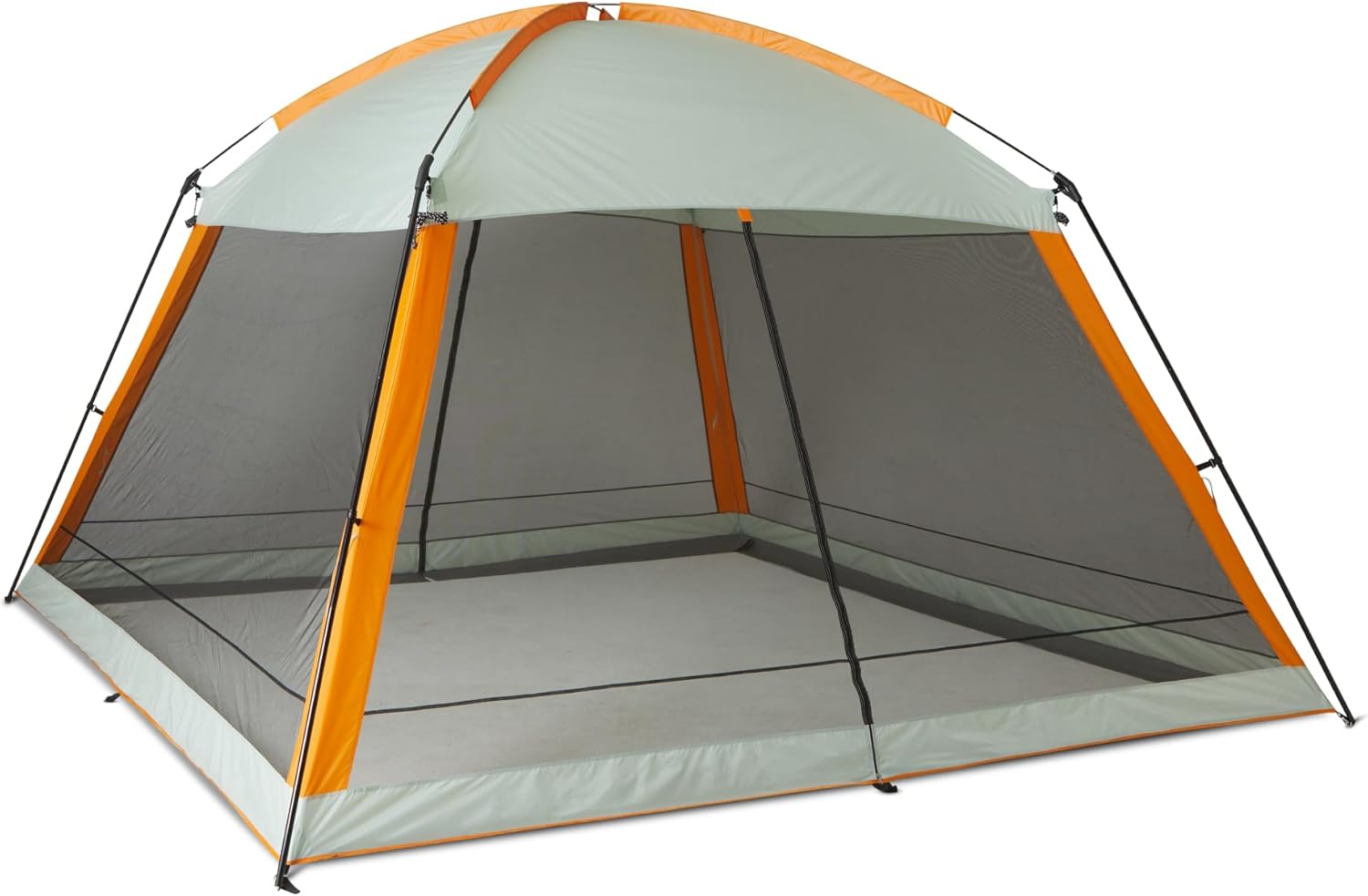 Amazon Basics Screened Canopy Tent