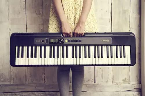 Casio LK-S250 Casiotone 61-Key Portable Lighted Key Keyboard Bundle with Adjustable Stand, Bench, Headphones, Sustain Pedal, Instructional DVD, and Austin Bazaar Polishing Cloth