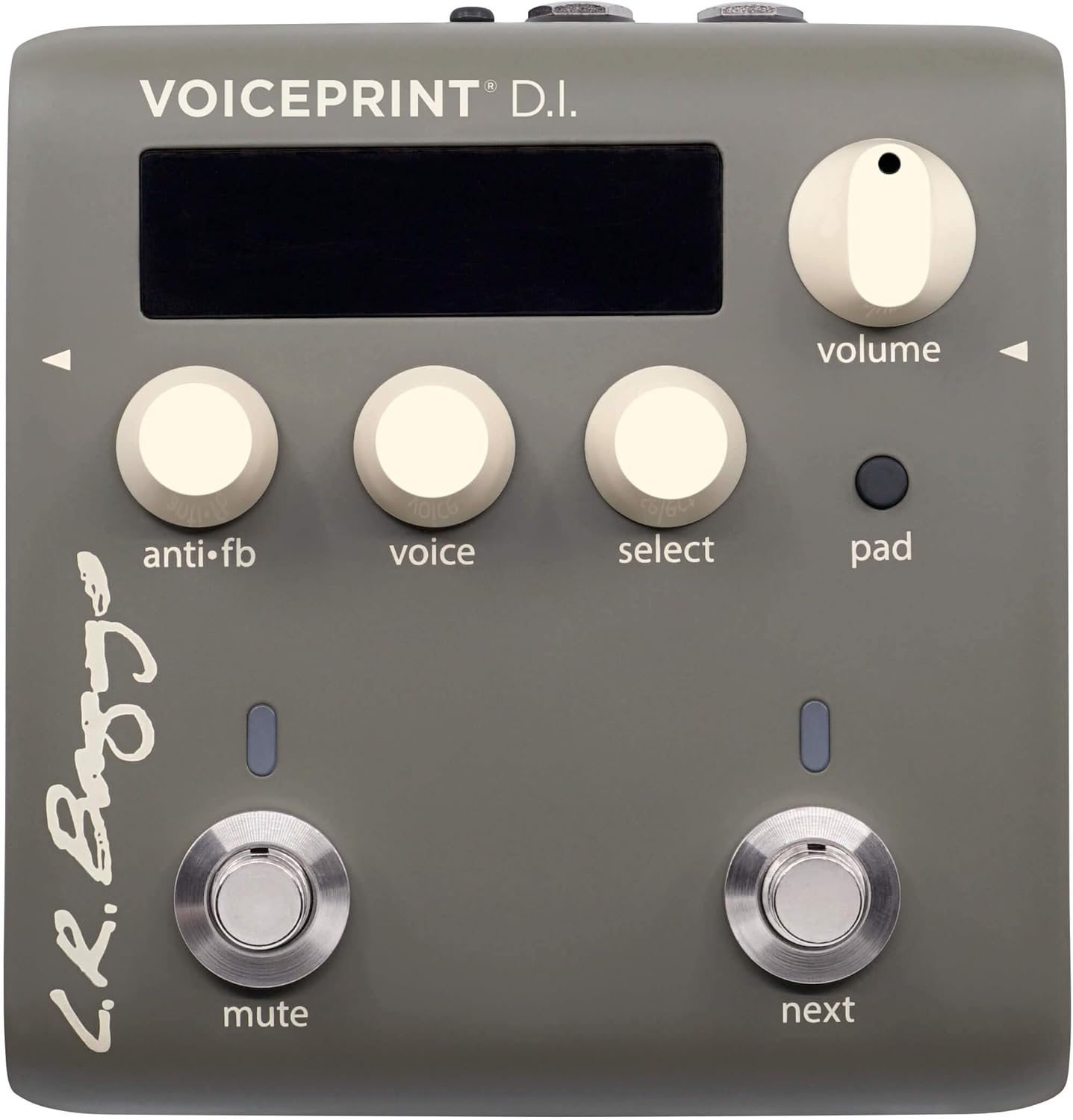 L.R. Baggs Voiceprint DI Acoustic Guitar Impulse Response Effects Pedal