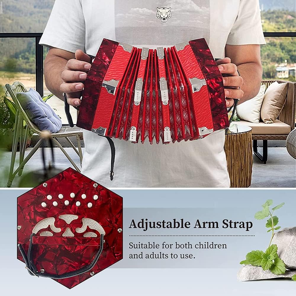 Professional Accordion Concertina With 20 Buttons, With Carrying Bag And Adjustable Hand Strap, For Daily Practice Stage Performance(Red)