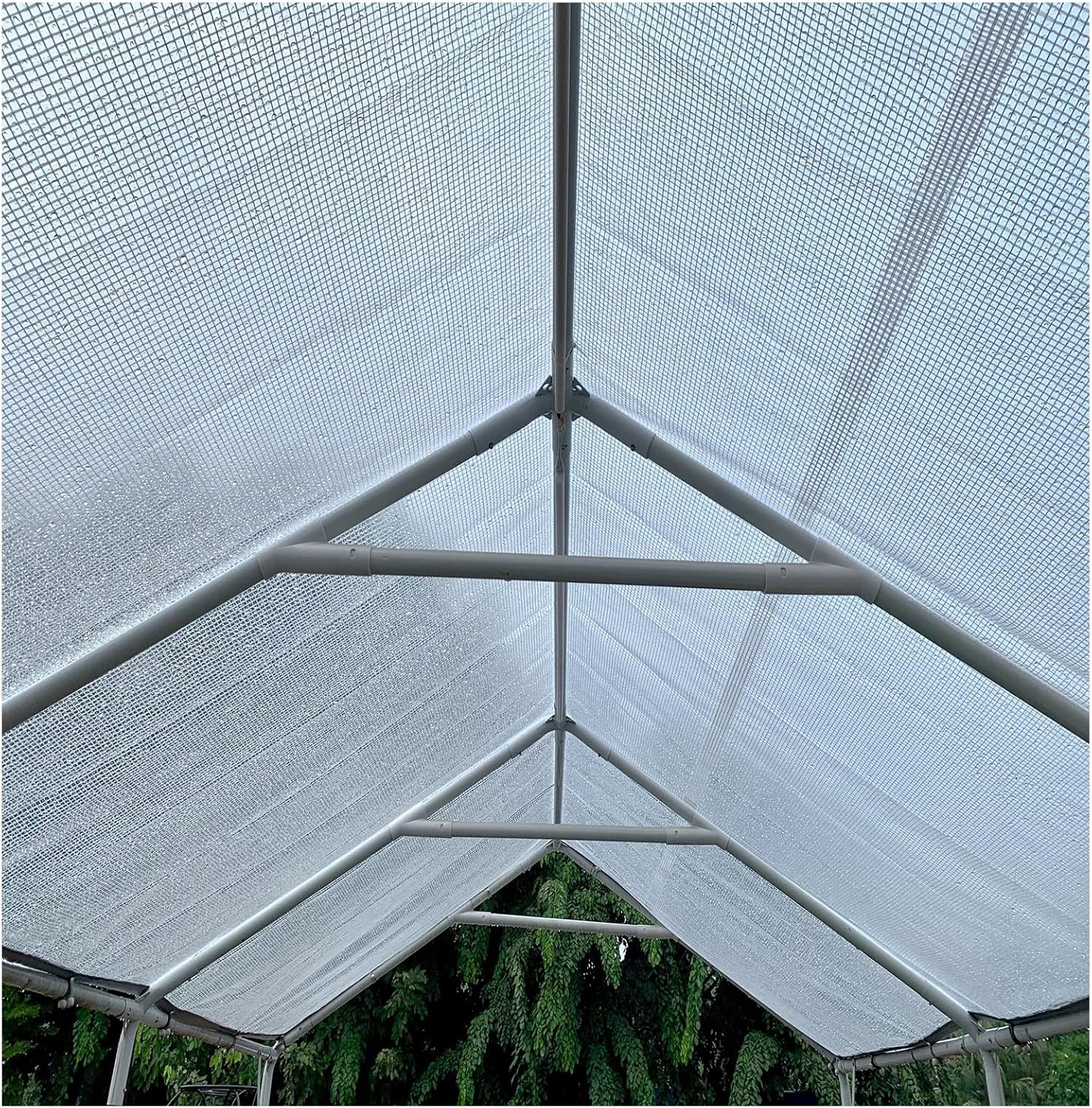 Clear Tarps with Grommets Durable Transparent Rain Cloth Canopy Outdoor Gazebo Plastic Cover Sun Protection Shade Cloth for Plants LOTCX(15x10m/49.2x32.8ft)
