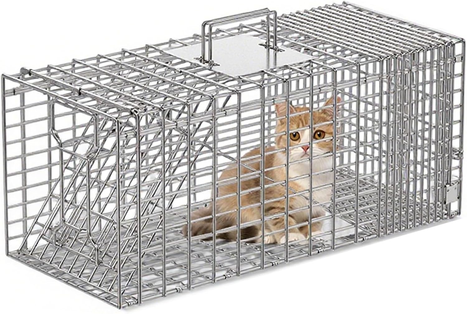 Large Live Animal Cage Trap Cat, Folding Humane Cat Trap for Stray Cats for Feral Cats, Raccoons, Rabbits, Squirrels(79 * 28 * 33cm)
