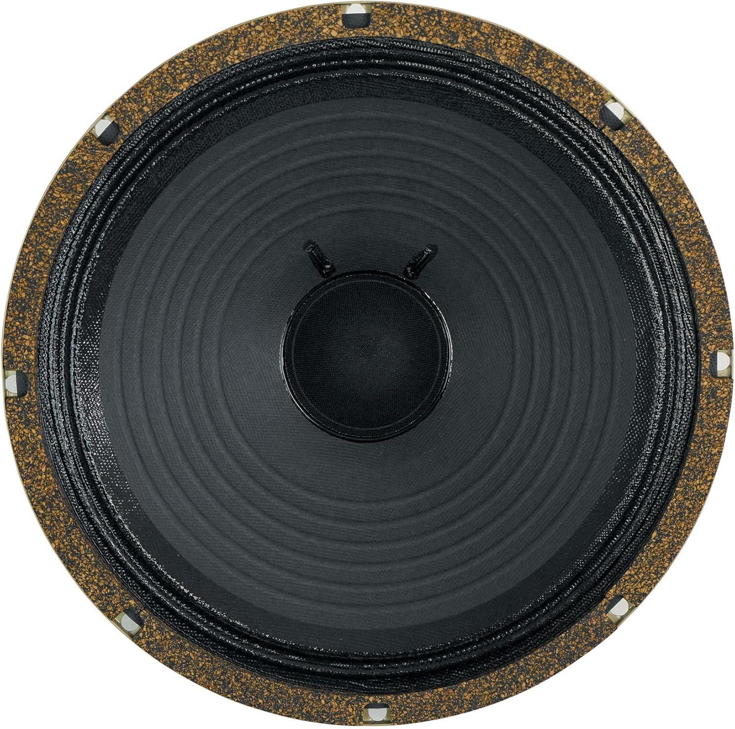 Audiosavings Bundle: (1) Celestion G10 Greenback 30W 10