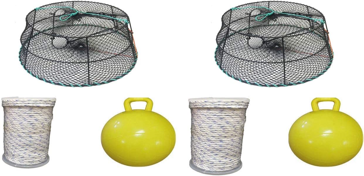 KUFA Sports 2-Pack Vinyl Coated Tower Style Prawn Trap (30