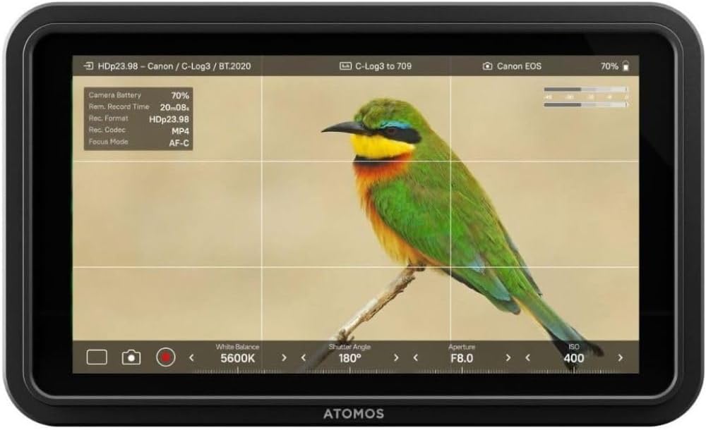 Atomos Shinobi II 5.2