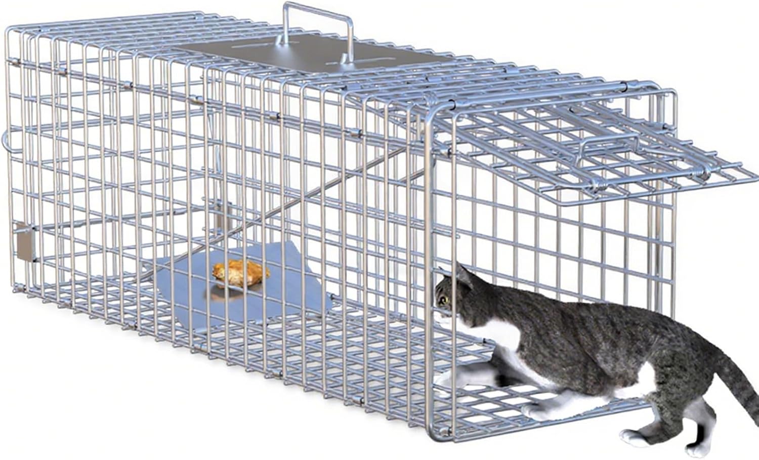 Live Animal Cage Trap Racoon, Foldable Galvanized Iron Cat Trap for Stray Cats Humane Kittens for Raccoons, Feral Cats, Squirrels, Groundhog(61 * 18 * 21cm)