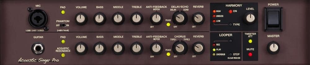 Boss Acoustic Singer Pro 120-Watt Bi-Amp Acoustic Combo with FX and Boss FS-6 Dual Foot Switch