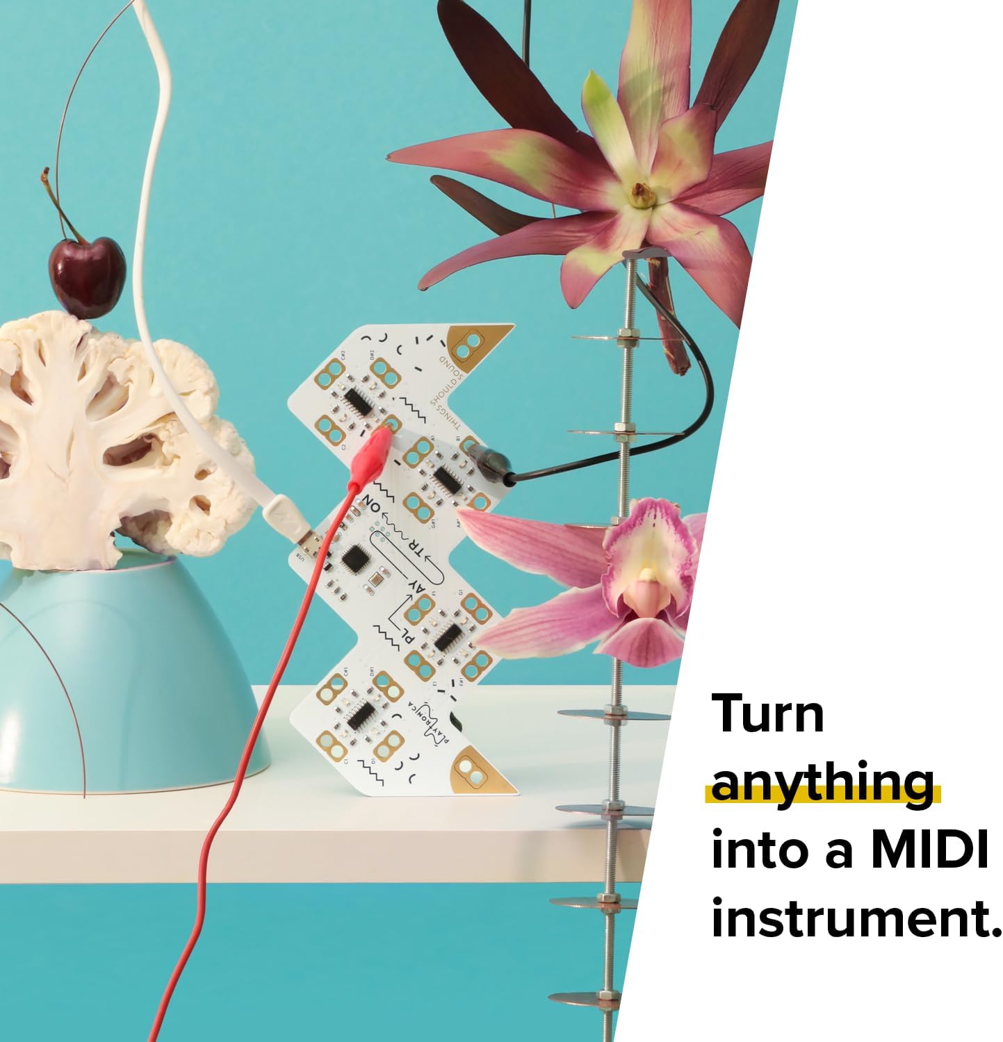 Playtron MIDI Controller, Connect up to 16 Conductive Objects and Turn Everything from Fruit to Metal into a Musical Instrument Soundbrenner