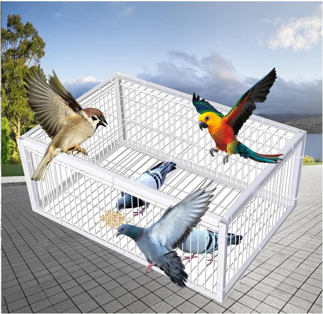 Cage Feral Pigeon Humane Way,One-Way Entrance Trapping U-Trap Door for Quail Doves Complete Accessories, Simple Structure, Suitable for Outdoor use(White,100 * 60cm)