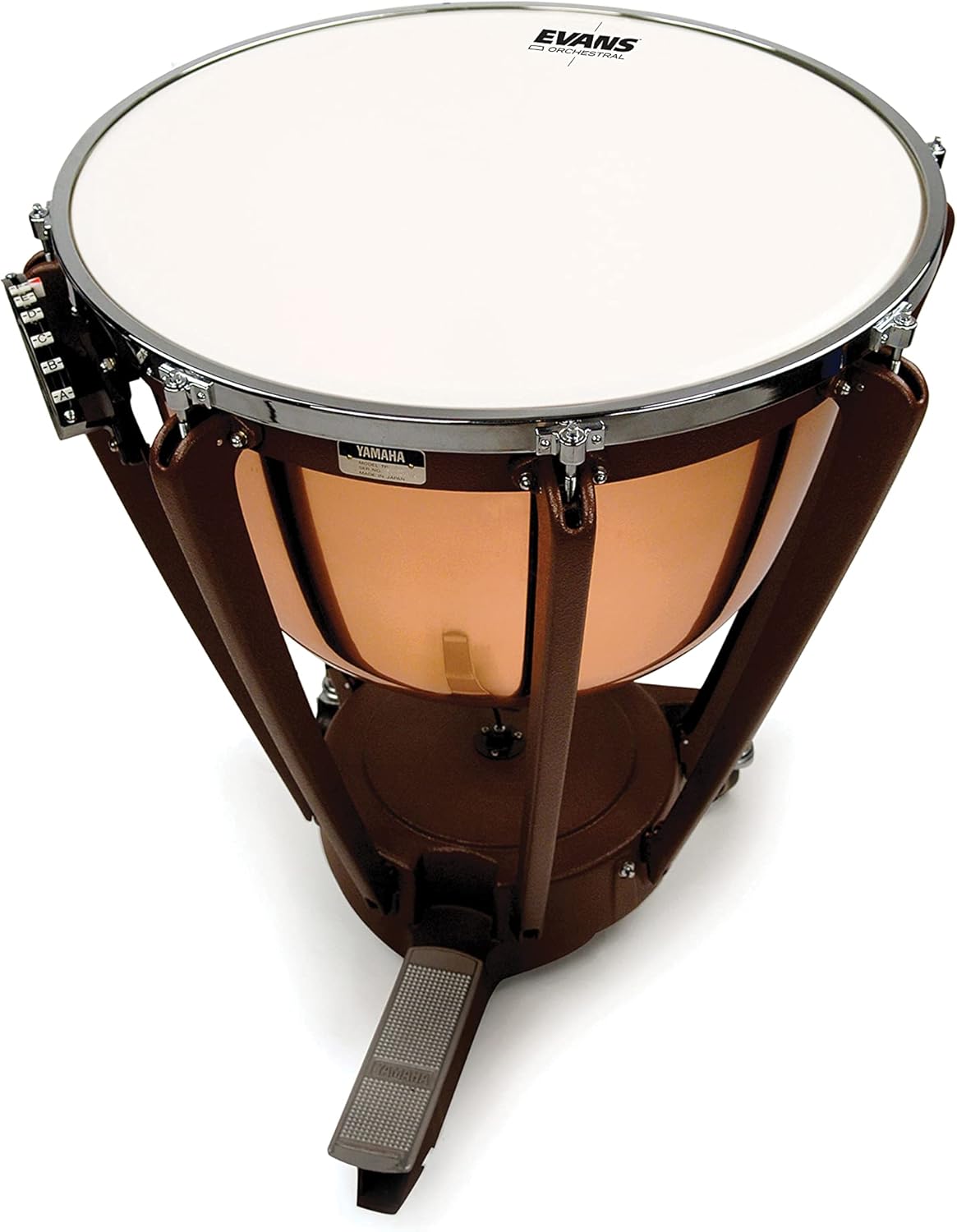 Evans Timpani Head (ET34)