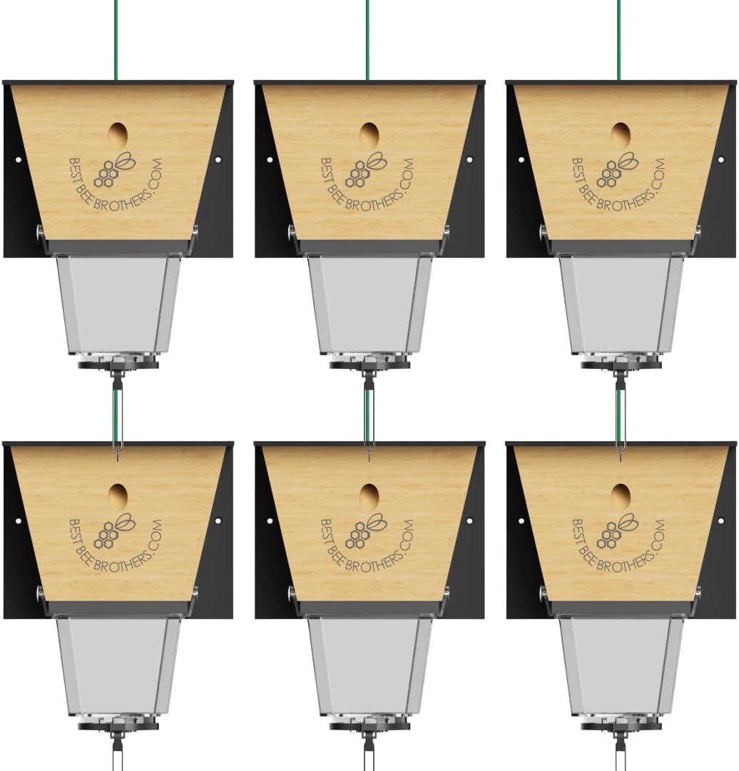 Best Bee Brothers, Ultimate Pro Carpenter Bee Trap, 2 Traps in 1, High-Capacity External Bee Vault, 6-Pack, Black