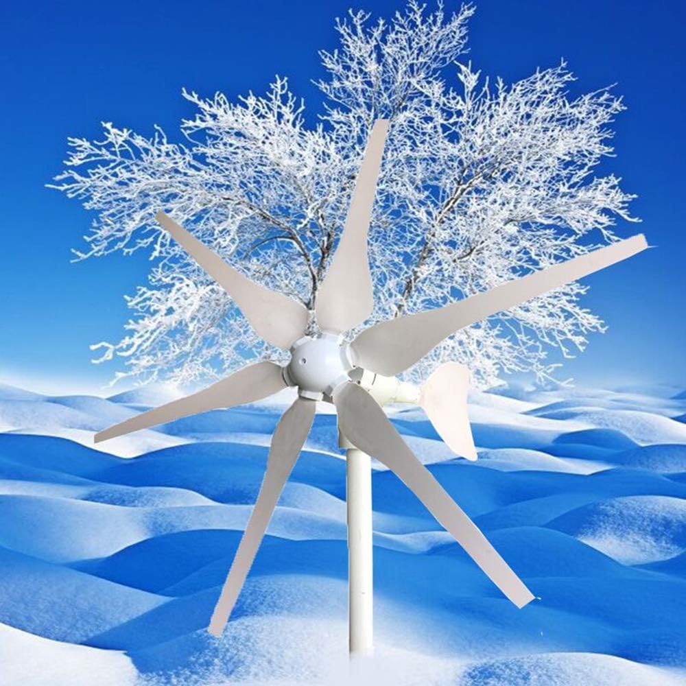 800W Horizontal 6 Blades Wind Generator Turbine 12V/24V Windmill with Charge Controller for Home Use,12v