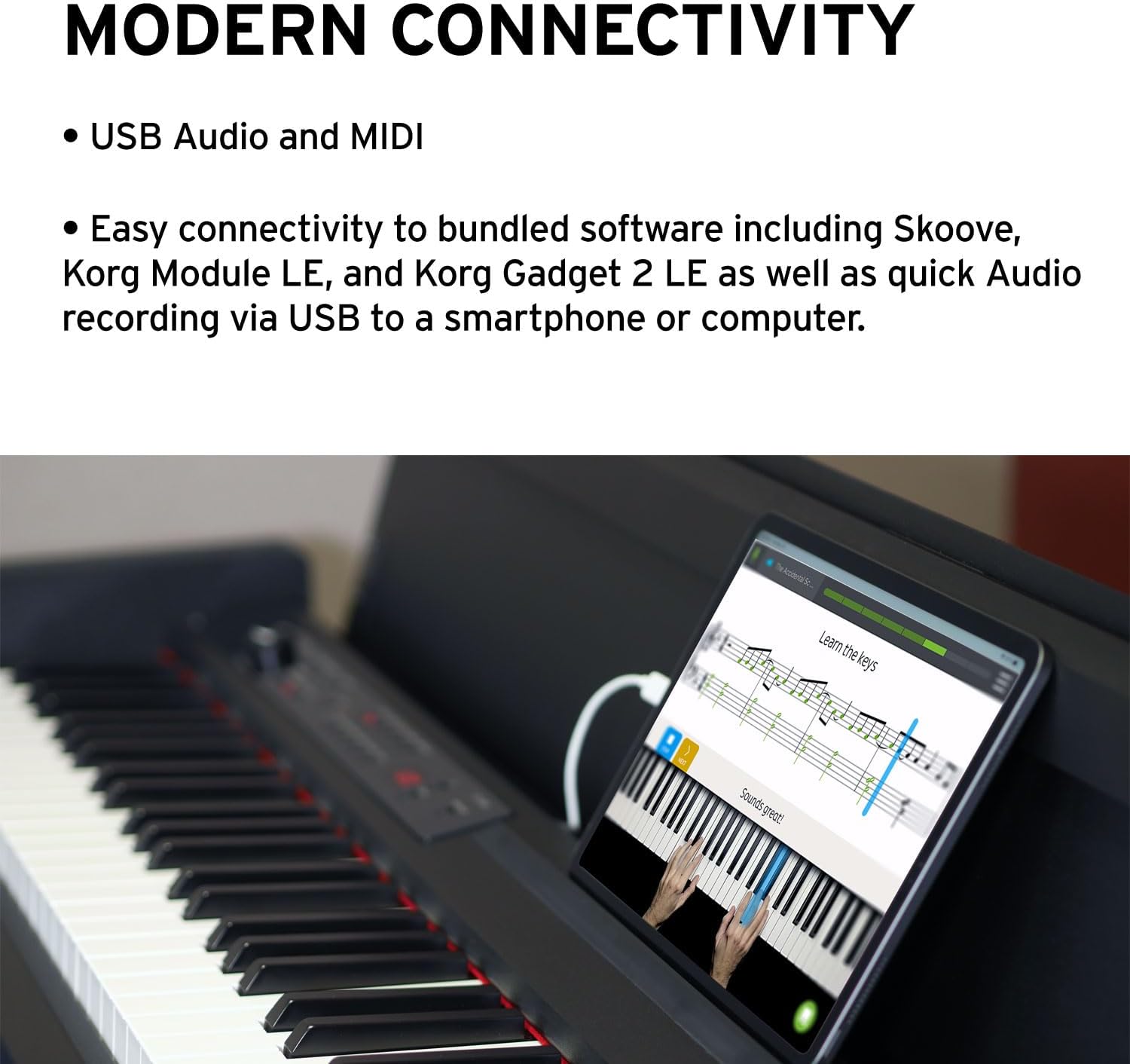 Korg, LP-380U Digital Home Piano with 88-Key Fully Weighted Keyboard, Built-in Speakers, Furniture Stand, and 3-Pedal Unit (LP-380-BK-U)