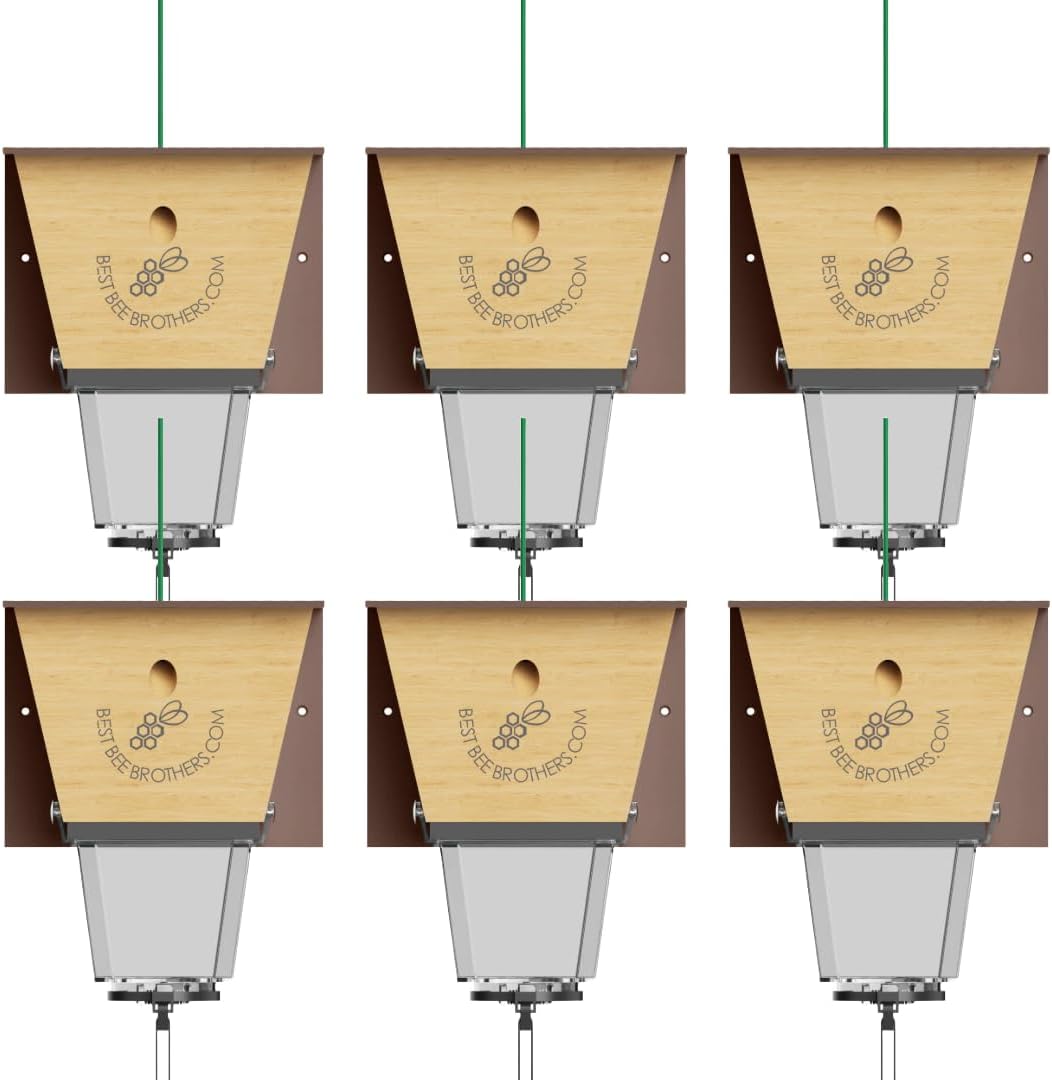 Best Bee Brothers Ultimate Pro Carpenter Bee Trap for Outside with Extra-Large, Clear External Bee Vault & Spring-Loaded Door, 4.2” D x 5.8” W x 7.5” H (6 Pack)