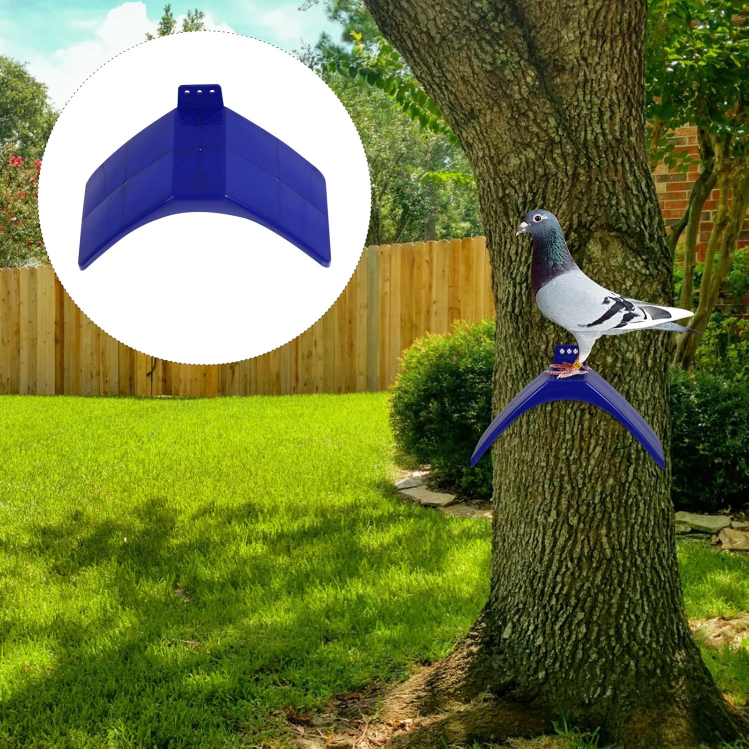 iplusmile 30 Pcs Dove Rest Stand, Lightweight Pigeon Perch Pigeons Rest Stand Frame Birds Roost Holder Dwelling Birdcage Accessories for Parrots and Other Birds