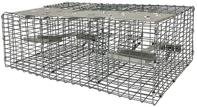 Troyer’s Birds’ Paradise Wire Sparrow Trap – Humane 2-Chamber Live Bird Trap with Spring-Loaded Trays – Durable Galvanized Metal Grid, Easy Baiting & Monitoring, Pole or Ground Mountable