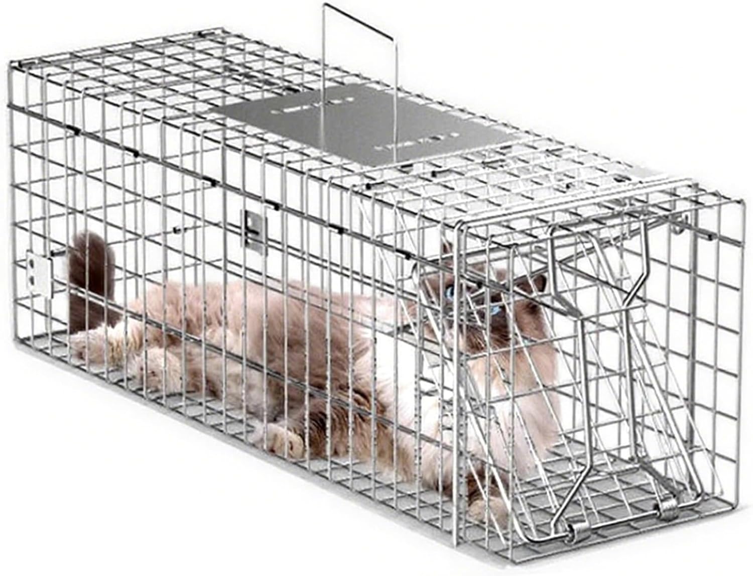 26in Live Animal Cage Trap Racoon, Live Animal Traps for Rabbits, Cat Trap for Stray Cats Humane for Squirrels, Rabbits, Cat Feral