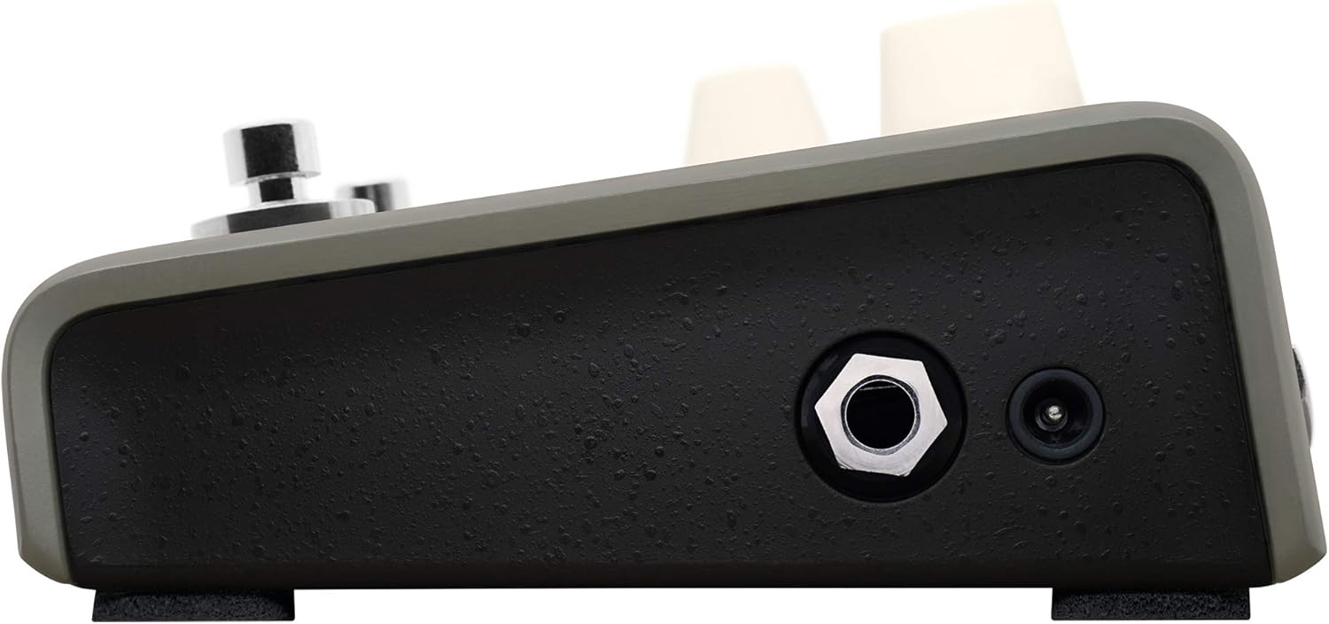 L.R. Baggs Voiceprint DI Acoustic Guitar Impulse Response Effects Pedal