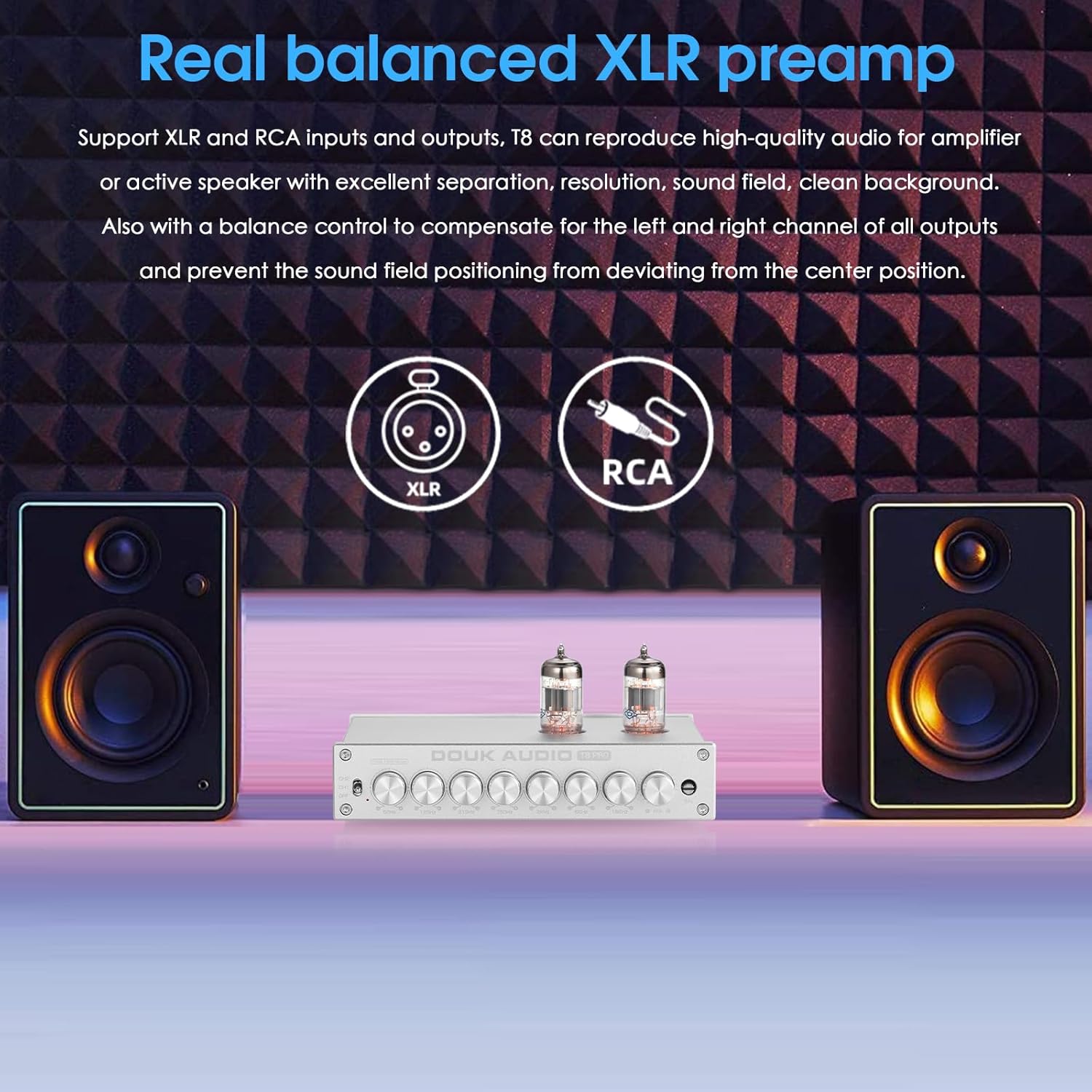 Douk Audio Balanced EQ Preamp: 7-Band Equalizer - Vacuum Tube Preamplifier with XLR RCA Inputs & Outputs - for Home Stereo HiFi System, Amplifiers, Active Speakers (T8 PRO Silver)