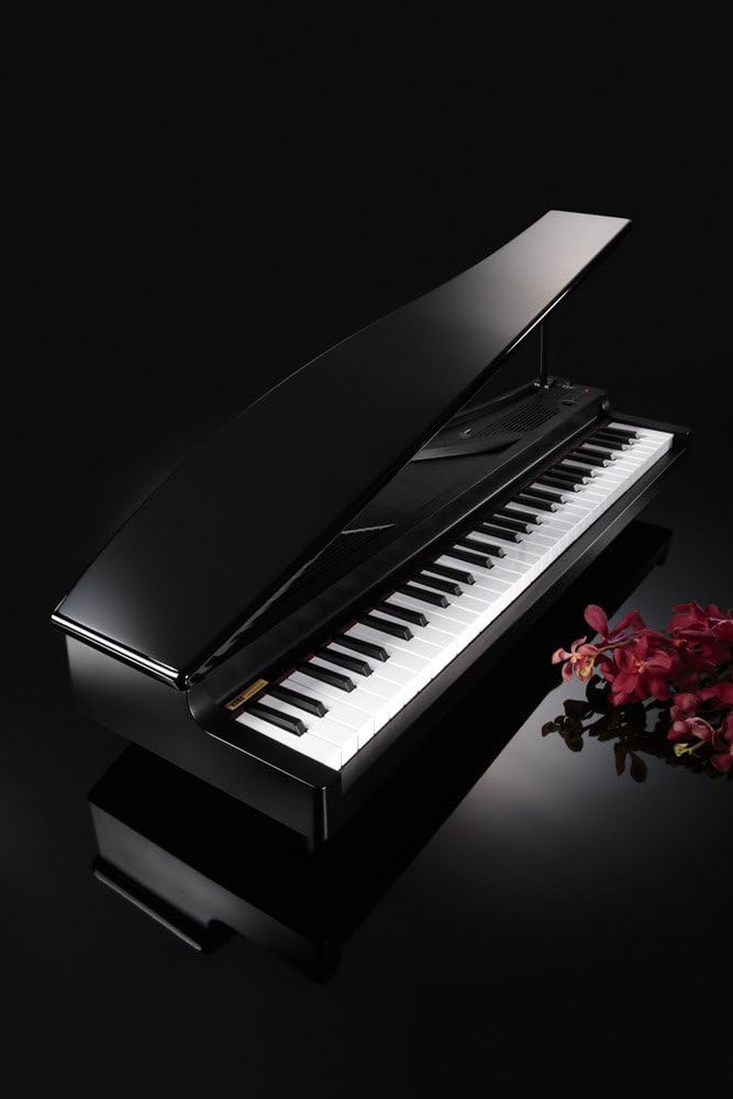 Korg microPiano 61 - Key Minature Grand Piano, Black