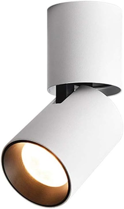 Modern No Strobe Surface Mounted Flat Ceiling Spotlight Lampholder Rotatable Foldable 7W/12W COB Anti-Glare LED Panel Lamp Living Room Aisle Decorative Downlight Fittings (Color : 6000k, Siz