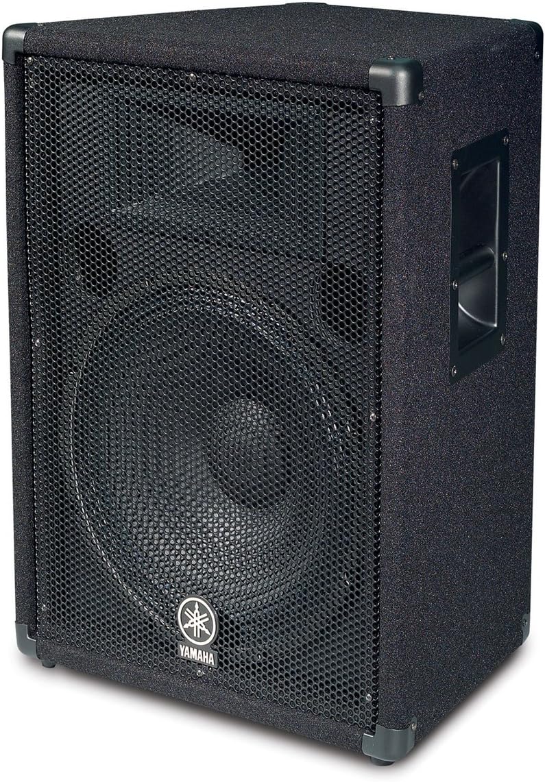 Yamaha BR15 15-inch 2-Way Loudspeaker